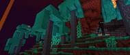 This is where to find Endermen (Image via Mojang)